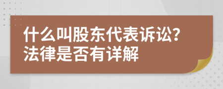 什么叫股东代表诉讼？法律是否有详解