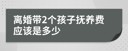 离婚带2个孩子抚养费应该是多少