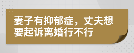 妻子有抑郁症，丈夫想要起诉离婚行不行