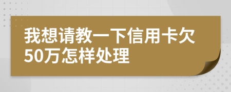 我想请教一下信用卡欠50万怎样处理