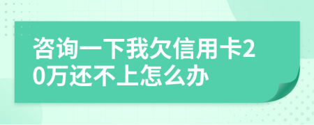 咨询一下我欠信用卡20万还不上怎么办