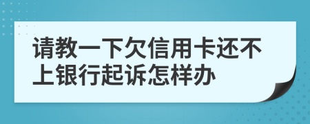 请教一下欠信用卡还不上银行起诉怎样办