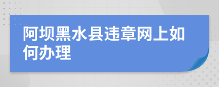 阿坝黑水县违章网上如何办理
