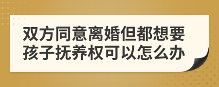 双方同意离婚但都想要孩子抚养权可以怎么办