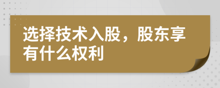 选择技术入股，股东享有什么权利