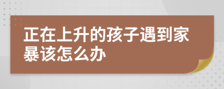 正在上升的孩子遇到家暴该怎么办