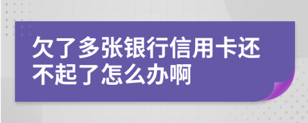 欠了多张银行信用卡还不起了怎么办啊