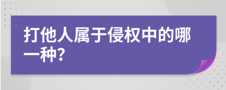 打他人属于侵权中的哪一种？