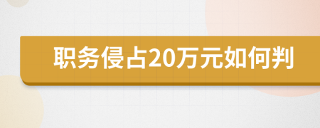 职务侵占20万元如何判