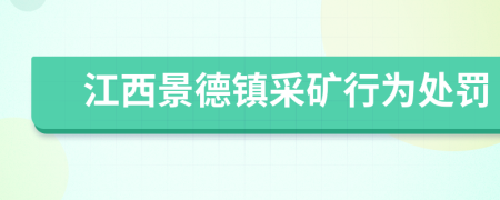 江西景德镇采矿行为处罚