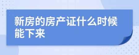 新房的房产证什么时候能下来