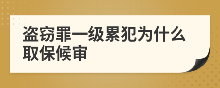 盗窃罪一级累犯为什么取保候审