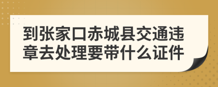 到张家口赤城县交通违章去处理要带什么证件