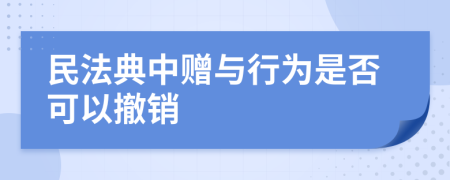 民法典中赠与行为是否可以撤销