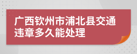 广西钦州市浦北县交通违章多久能处理