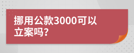 挪用公款3000可以立案吗？