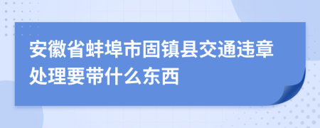 安徽省蚌埠市固镇县交通违章处理要带什么东西