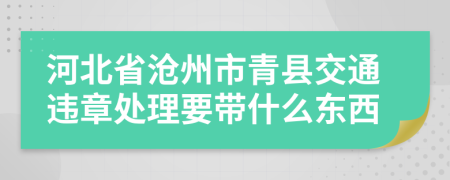 河北省沧州市青县交通违章处理要带什么东西