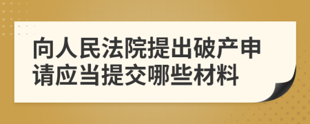 向人民法院提出破产申请应当提交哪些材料