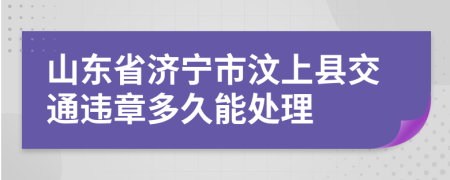 山东省济宁市汶上县交通违章多久能处理