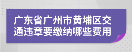 广东省广州市黄埔区交通违章要缴纳哪些费用