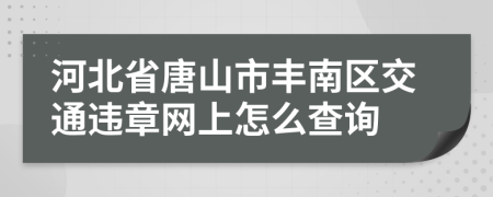 河北省唐山市丰南区交通违章网上怎么查询