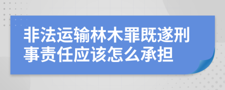 非法运输林木罪既遂刑事责任应该怎么承担