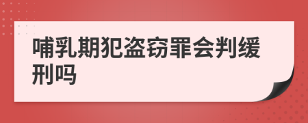 哺乳期犯盗窃罪会判缓刑吗