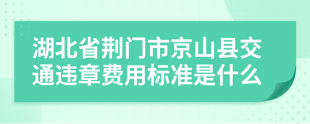 湖北省荆门市京山县交通违章费用标准是什么