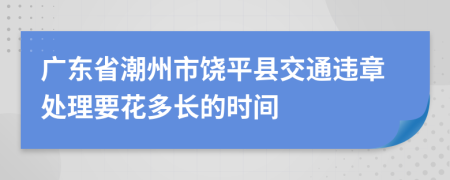 广东省潮州市饶平县交通违章处理要花多长的时间