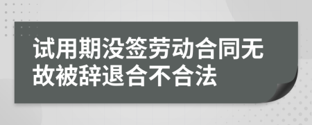 试用期没签劳动合同无故被辞退合不合法