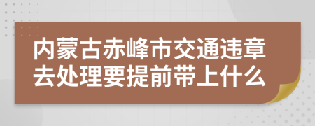 内蒙古赤峰市交通违章去处理要提前带上什么