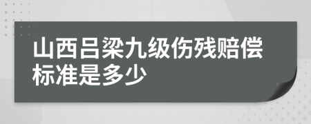 山西吕梁九级伤残赔偿标准是多少