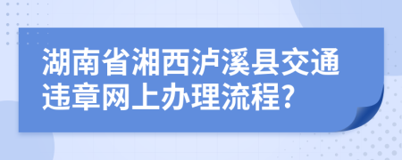 湖南省湘西泸溪县交通违章网上办理流程?