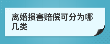 离婚损害赔偿可分为哪几类