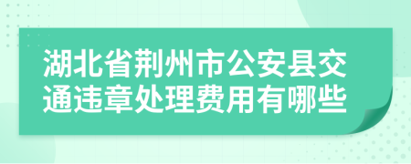 湖北省荆州市公安县交通违章处理费用有哪些