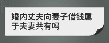 婚内丈夫向妻子借钱属于夫妻共有吗