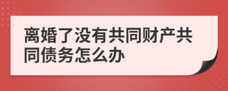 离婚了没有共同财产共同债务怎么办