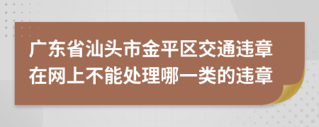 广东省汕头市金平区交通违章在网上不能处理哪一类的违章