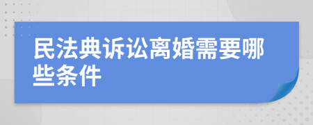 民法典诉讼离婚需要哪些条件