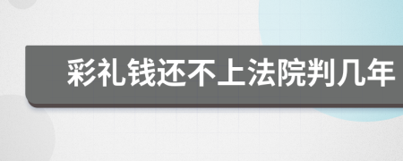 彩礼钱还不上法院判几年