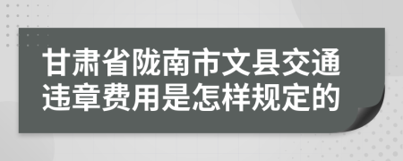 甘肃省陇南市文县交通违章费用是怎样规定的