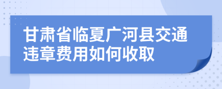 甘肃省临夏广河县交通违章费用如何收取