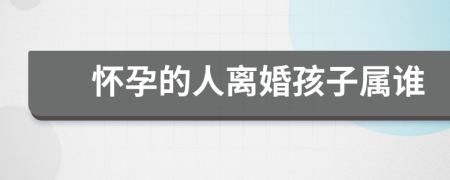 怀孕的人离婚孩子属谁