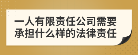 一人有限责任公司需要承担什么样的法律责任