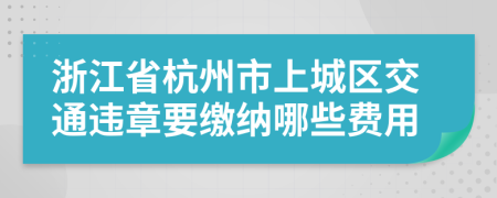 浙江省杭州市上城区交通违章要缴纳哪些费用