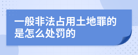 一般非法占用土地罪的是怎么处罚的