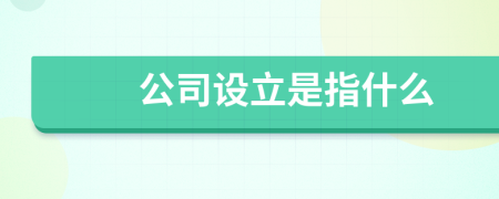 公司设立是指什么