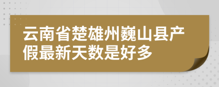 云南省楚雄州巍山县产假最新天数是好多