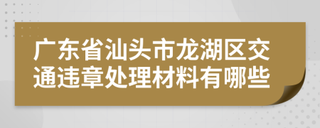 广东省汕头市龙湖区交通违章处理材料有哪些